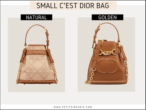 dior bag models|affordable Dior bag.